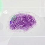 AI Brain - An artist’s illustration of artificial intelligence (AI). This image represents how machine learning is inspired by neuroscience and the human brain. It was created by Novoto Studio as par...