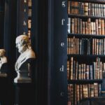 Law - book lot on black wooden shelf